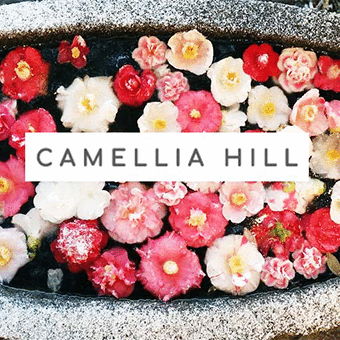 제주 카멜리아힐 iLocker